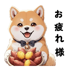 Motiko_20260205003823