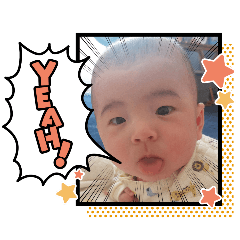 taiganonichijo