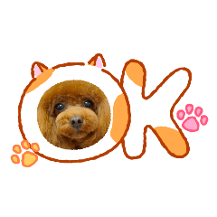 Shimo.family_20260206194426