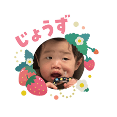 Momo_20260206215454