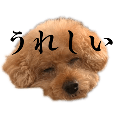 OTOHI_20260206215422