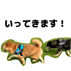 utinoko_20260206204212