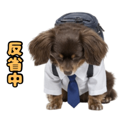 happyworld_20260206202840