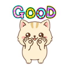 milky_20260206220323