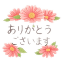 yukichan_20260206221032