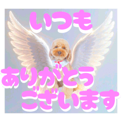 KUROSAKI-P_20260205021407