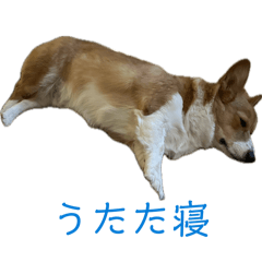 saburou_20260206214002