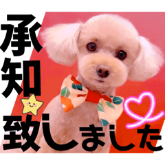 Mochioba_20260207141918