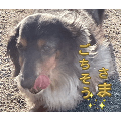 Chacha_20260206194744