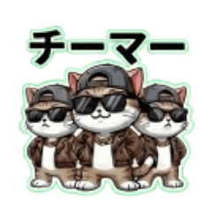 Bad & Cute Rebel Cats