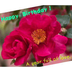 yachannei_20260205113235