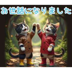 [お世話になりました専用]雨の日ネコ