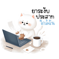 arthitaya_20260206204848