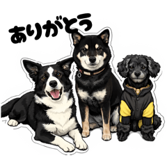 BUDDY BC_20260206233831