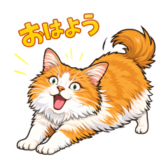 Norwegian Forest Cat myu