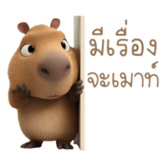 arthitaya_20260206222601