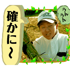 Curry Roux_20260206235443