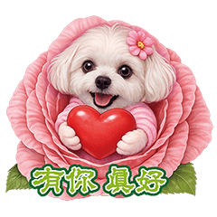 I Am Lin Mimi Part4 Almost New Year