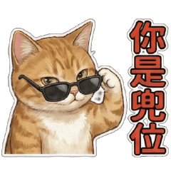 White cat ball I'll spit you out