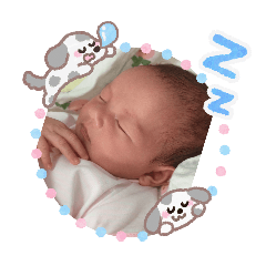 Ticha My Baby's_20260207001721