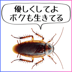 毎日使えるゴキブリ
