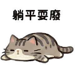 Talk Cat Ball Can Special