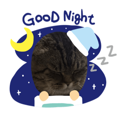 Woonwai HOME_20260207113418