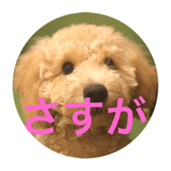 fukucyanstanp