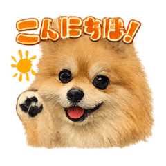 mofumofuPomeranian stamp