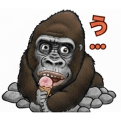 issa529_20260207095814