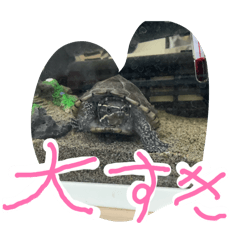 ichino_20260207120605