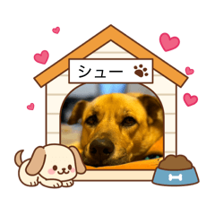 yu_rin_20260207120950