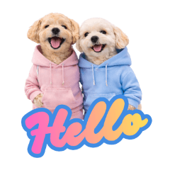 lu-&ray_20260207121204