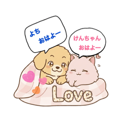 Yoshi_20260207123930