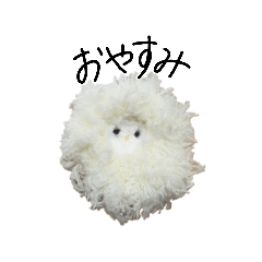 sakura_20260207131225