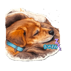 lucky_20260207003451