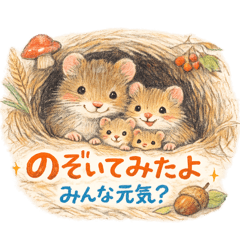 love_&nbsp; &nbsp;  family2