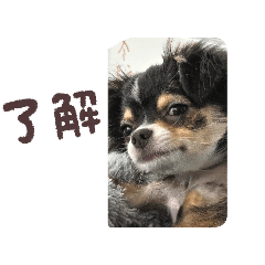 noriko_20260207004010