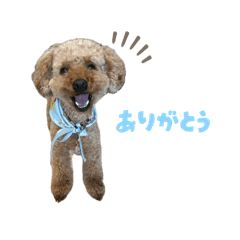 Ayana_20260207111021