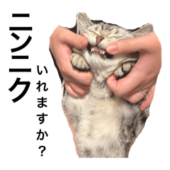 Ai to Makoto-chan_20260207110123