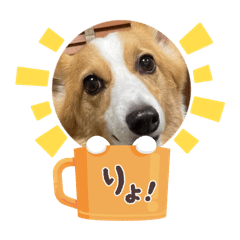 Spedy Love_20260207111049