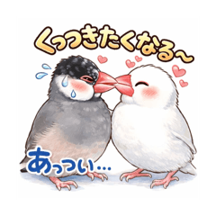 okazu_20260207132417