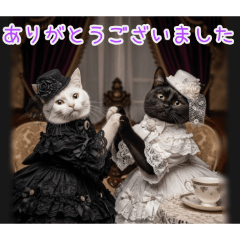 PAKAMOGOLY_20260207134555