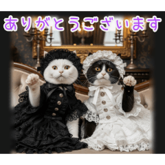 PAKAMOGOLY_20260207134802