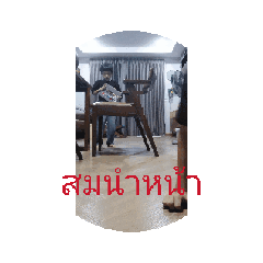 Dollar_20260207183718