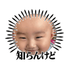 ocha's_20260208005001