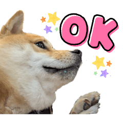 azuki*_20260207012110