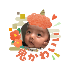 anis_20260207114101