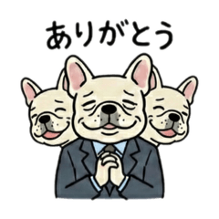 DenDai_20260207113116