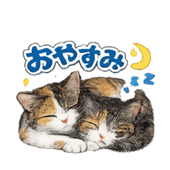 Komimi & Komeme's Samp